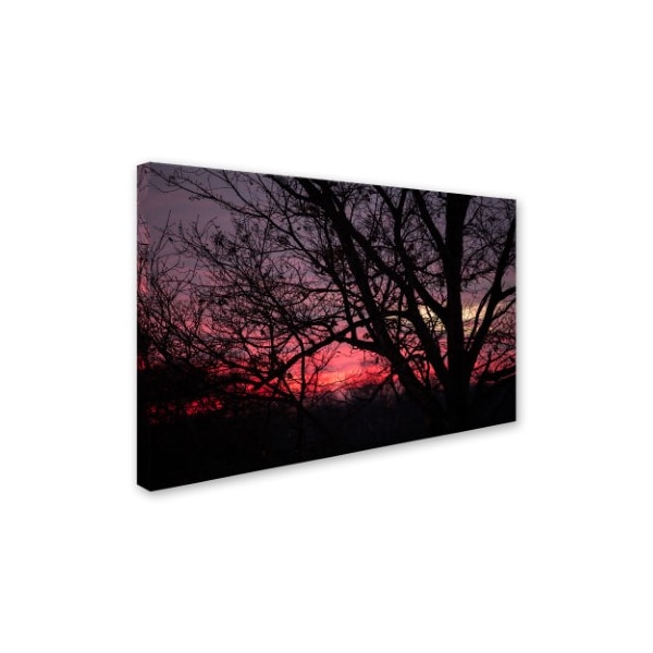 Jason Shaffer 'Pink Sunset' Canvas Art,16x24